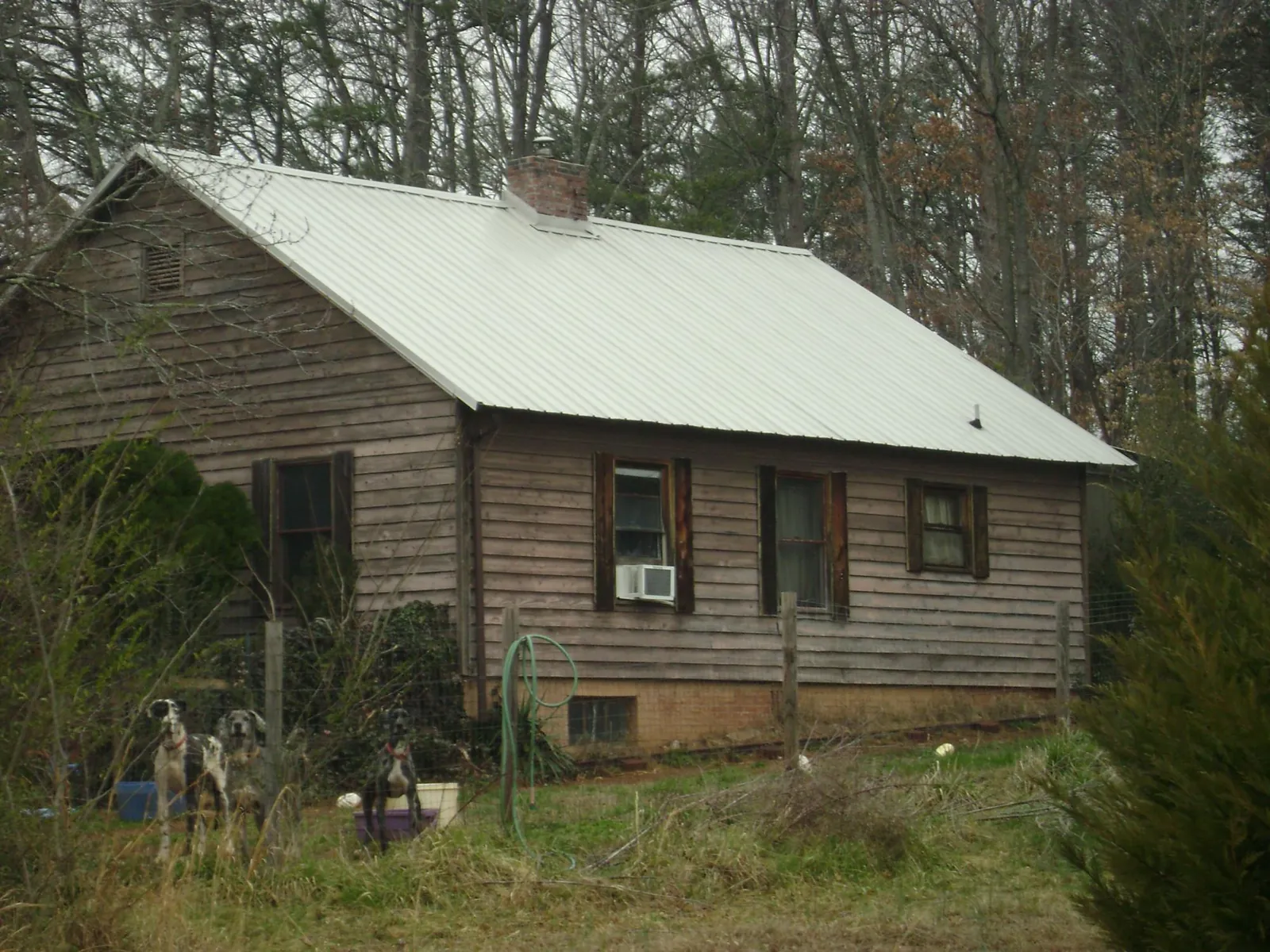White metal roof on an old wood sided farmhouse in Foley